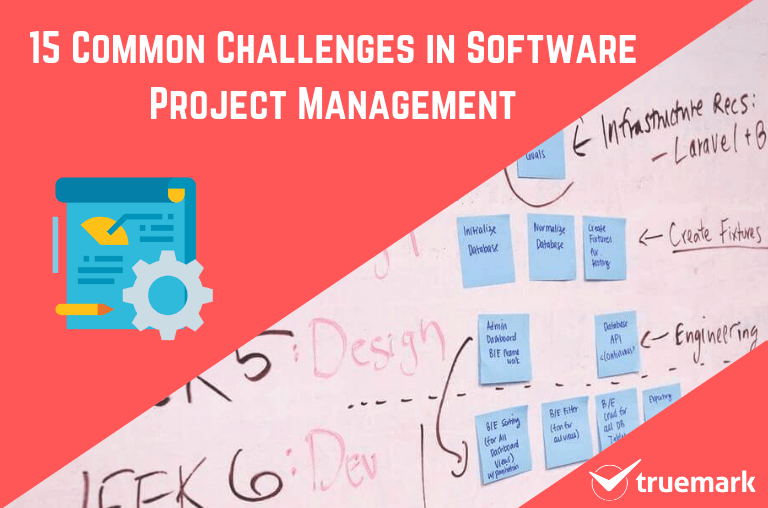 challenges in software project management
