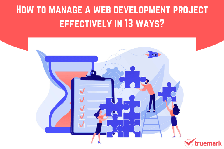how to manage a web development project